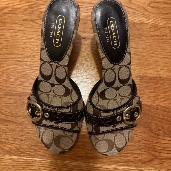 Coach slides - Picture 4 of 5